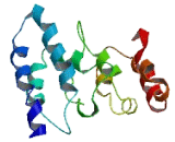 Chromosome 15 Open Reading Frame 32 (C15orf32)