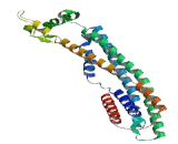 Family With Sequence Similarity 227, Member B (FAM227B)