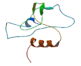 HEXA Antisense Gene Protein 1 (HEXA-AS1)