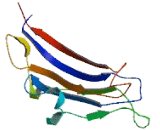 ST20 Antisense Gene Protein 1 (ST20-AS1)