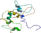 Chromosome 15 Open Reading Frame 39 (C15orf39)