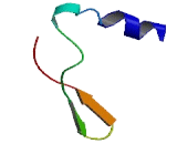 Chromosome 15 Open Reading Frame 41 (C15orf41)