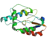 Chromosome 15 Open Reading Frame 52 (C15orf52)