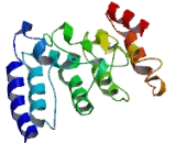 Chromosome 15 Open Reading Frame 59 (C15orf59)