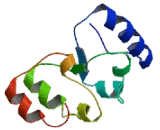 Chromosome 15 Open Reading Frame 60 (C15orf60)