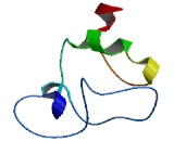 Chromosome 15 Open Reading Frame 61 (C15orf61)