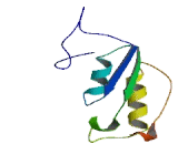 Chromosome 16 Open Reading Frame 42 (C16orf42)