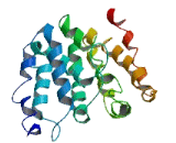 Chromosome 16 Open Reading Frame 46 (C16orf46)