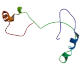 Chromosome 16 Open Reading Frame 47 (C16orf47)