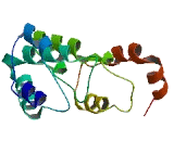 Spermatogenesis Associated Protein 33 (SPATA33)