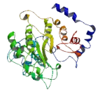 Chromosome 16 Open Reading Frame 59 (C16orf59)