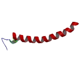 COX Assembly Mitochondrial Protein 2 Homolog (CMC2)