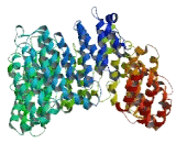 Esophageal Cancer Associated Protein (ECAP)