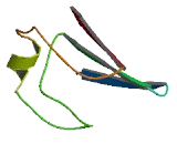 Chromosome 16 Open Reading Frame 70 (C16orf70)