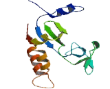 Meiosis Specific With OB Domain Containing Protein (MEIOB)