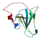 BRICHOS Domain Containing Protein 5 (BRICD5)