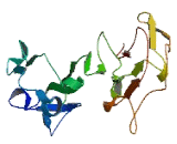 Chromosome 16 Open Reading Frame 82 (C16orf82)