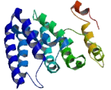 Chromosome 16 Open Reading Frame 86 (C16orf86)