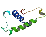 Chromosome 16 Open Reading Frame 89 (C16orf89)