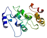 Chromosome 16 Open Reading Frame 90 (C16orf90)