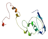 Chromosome 16 Open Reading Frame 95 (C16orf95)