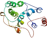 Chromosome 16 Open Reading Frame 96 (C16orf96)