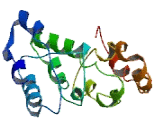 Chromosome 17 Open Reading Frame 100 (C17orf100)