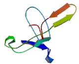 Chromosome 17 Open Reading Frame 102 (C17orf102)