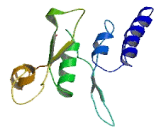 Chromosome 17 Open Reading Frame 104 (C17orf104)