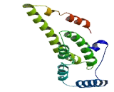 Chromosome 17 Open Reading Frame 105 (C17orf105)