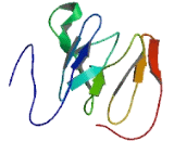 Small Integral Membrane Protein 5 (SMIM5)