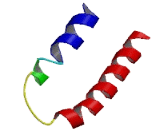 Small Integral Membrane Protein 6 (SMIM6)