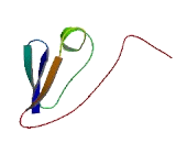 Glucose Induced Degradation Protein 4 Homolog (GID4)