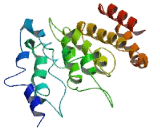 Chromosome 17 Open Reading Frame 47 (C17orf47)