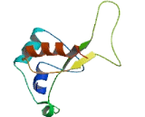 Chromosome 17 Open Reading Frame 50 (C17orf50)