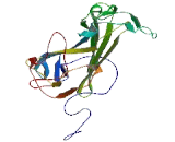 Chromosome 17 Open Reading Frame 55 (C17orf55)