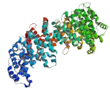 EF-Hand Calcium Binding Domain Protein 13 (EFCAB13)