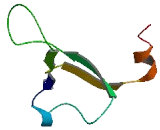 Chromosome 17 Open Reading Frame 58 (C17orf58)