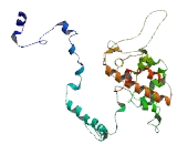 Chromosome 17 Open Reading Frame 59 (C17orf59)