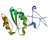 Family With Sequence Similarity 222, Member B (FAM222B)