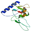 Chromosome 17 Open Reading Frame 64 (C17orf64)