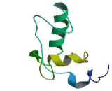 ASB16 Antisense Gene Protein 1 (ASB16-AS1)