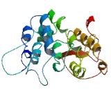 Chromosome 17 Open Reading Frame 75 (C17orf75)