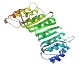 Leucine Rich Repeat Containing Protein 75A (LRRC75A)