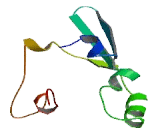 Chromosome 17 Open Reading Frame 77 (C17orf77)