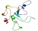 Chromosome 17 Open Reading Frame 78 (C17orf78)