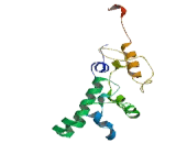 Chromosome 17 Open Reading Frame 85 (C17orf85)