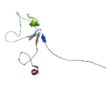 SLP Adapter And CSK Interacting Membrane Protein (SCIMP)