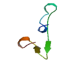 Chromosome 17 Open Reading Frame 89 (C17orf89)