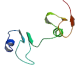 Oxidoreductase Like Domain Containing Protein 1 (OXLD1)